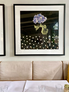 • FRAMED • LIMITED EDITION PRINT 'Hydrangea, Beer Bottle, Sand' [ EXTRA LARGE ]